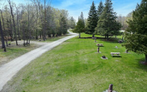 Pine tree park road and camping spaces